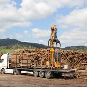 Buche als Stammholz – Komplettladung 50 Ster (ca. 2 m Länge)