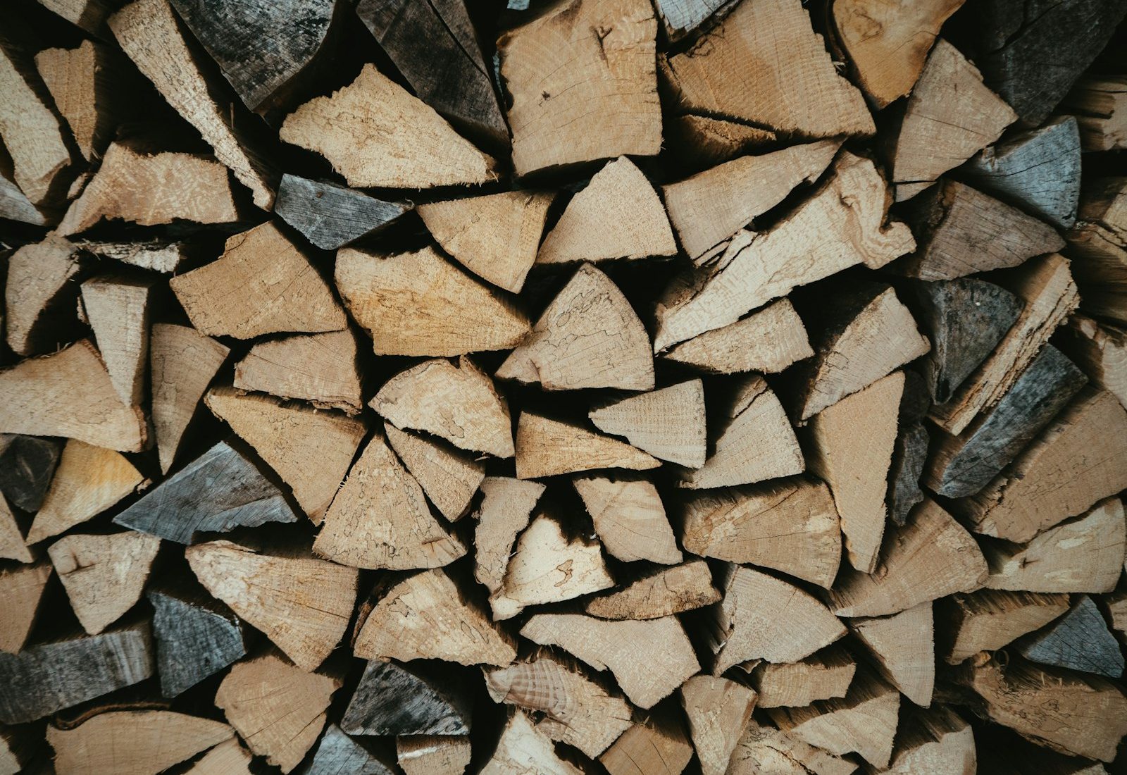 Heizen mit Holz – wie klimafreundlich ist das?